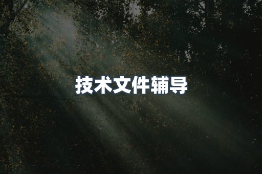技术文件辅导