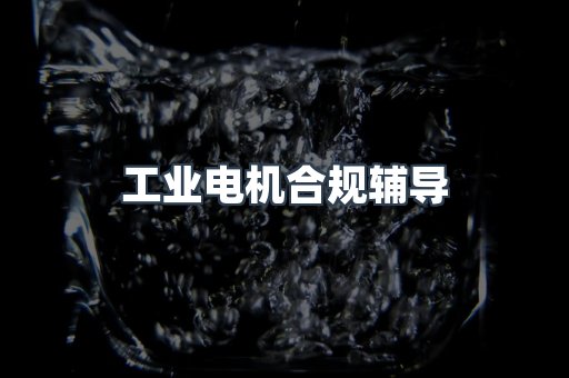 工业电机合规辅导
